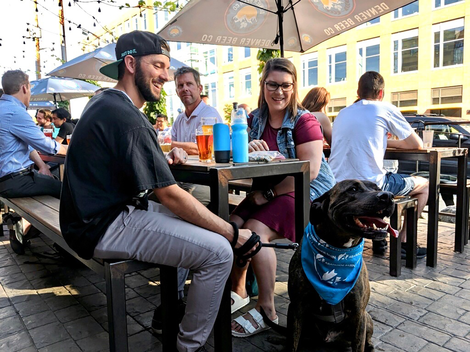 dog on patio