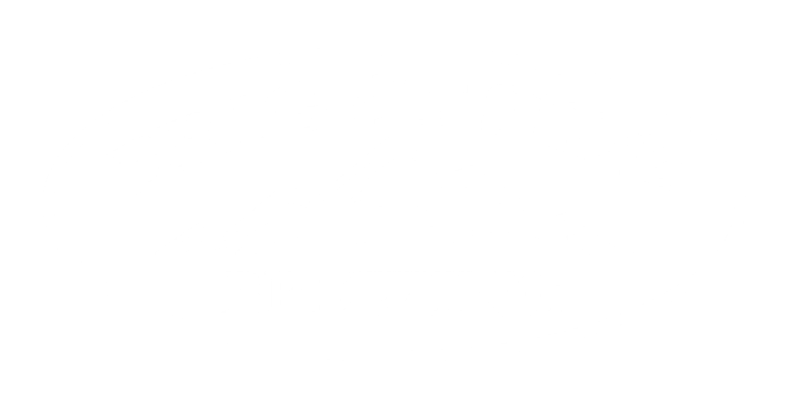 Bright Side Brewing